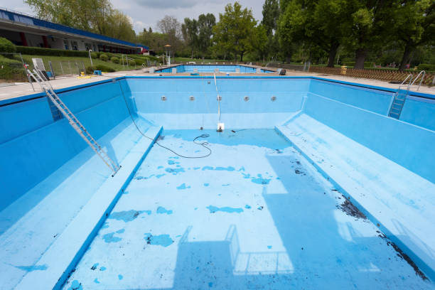 Best Mold removal after water damage  in Dooms, VA