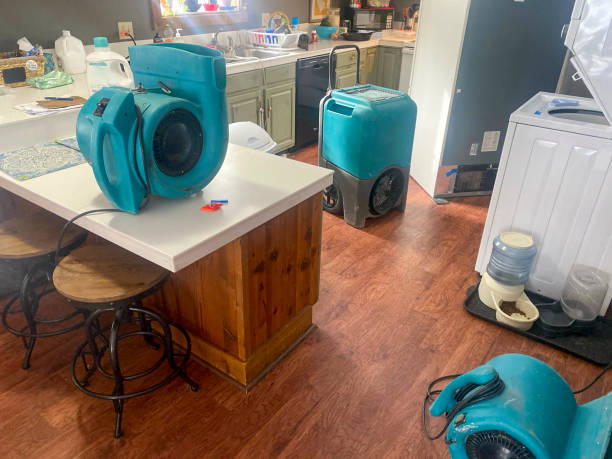 Best Water damage restoration mold remediation  in Dooms, VA