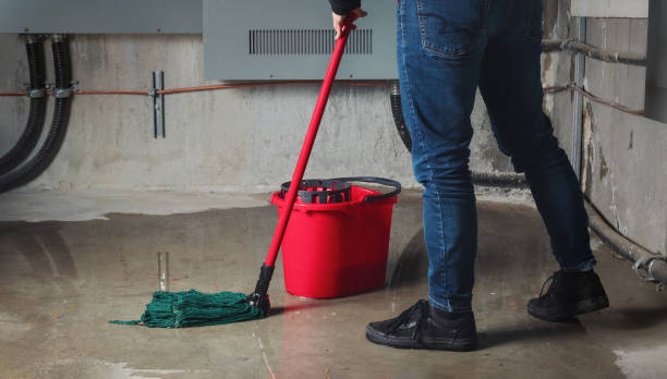 Best Water damage restoration near me  in Dooms, VA