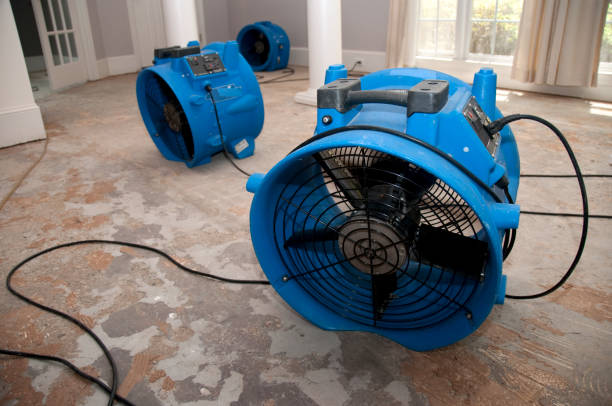 Best 24-hour water damage restoration  in Dooms, VA