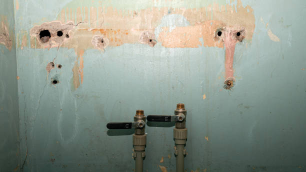 Best Flood damage cleanup  in Dooms, VA