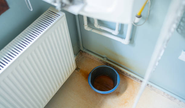 Best Basement water damage restoration  in Dooms, VA