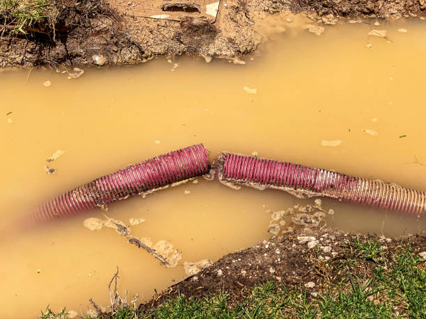 Best Carpet water damage restoration  in Dooms, VA